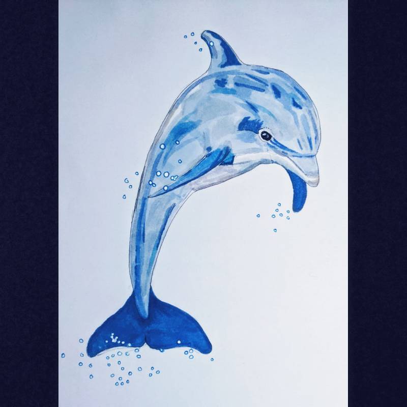 dolphin by salopia (Markers)