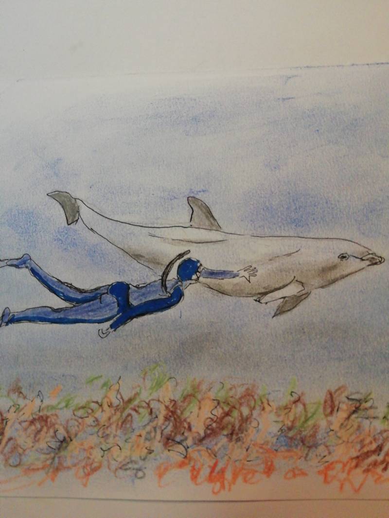 dolphin by Ekisz (Pencil, Colored pencil, Soft pastel)