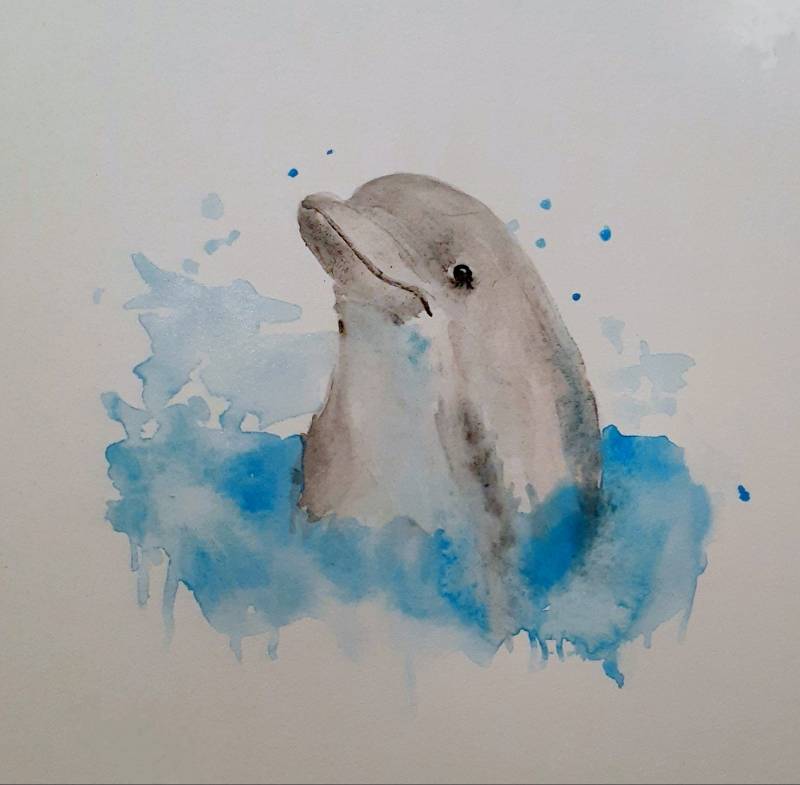 dolphin by jujolia (Watercolor)