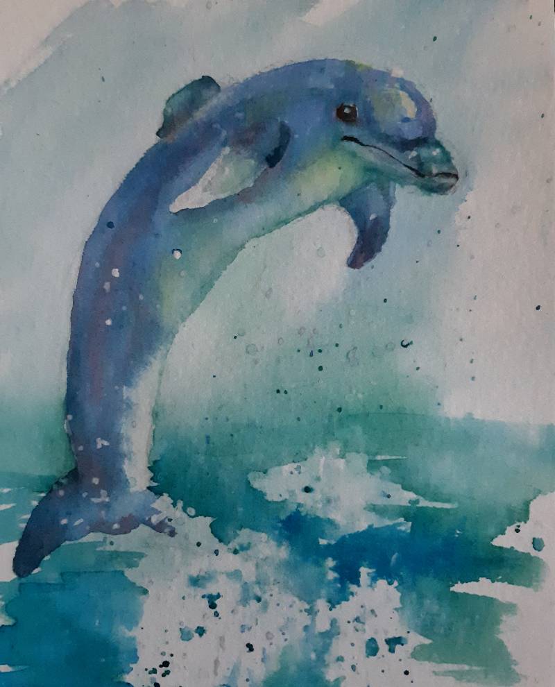 dolphin by bobbiw (Watercolor)