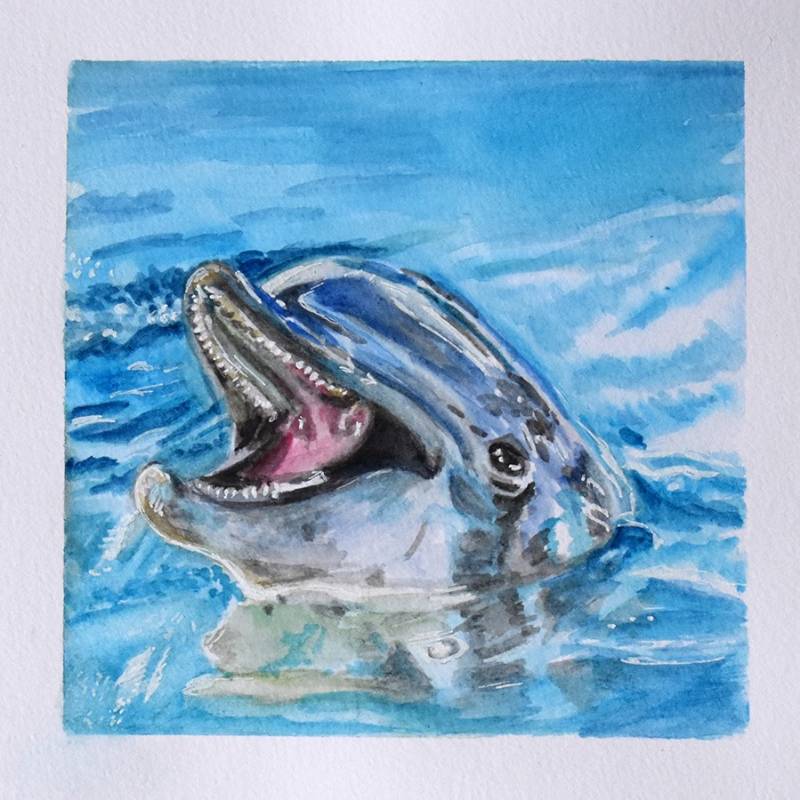 dolphin by Pikanotte (Watercolor, Pen)