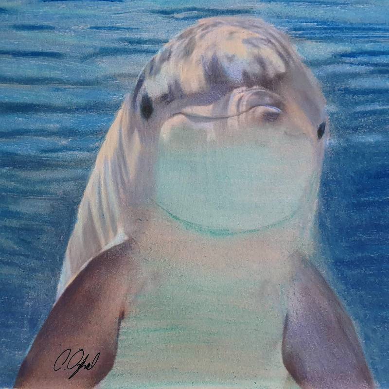 dolphin by Caner (Colored pencil)