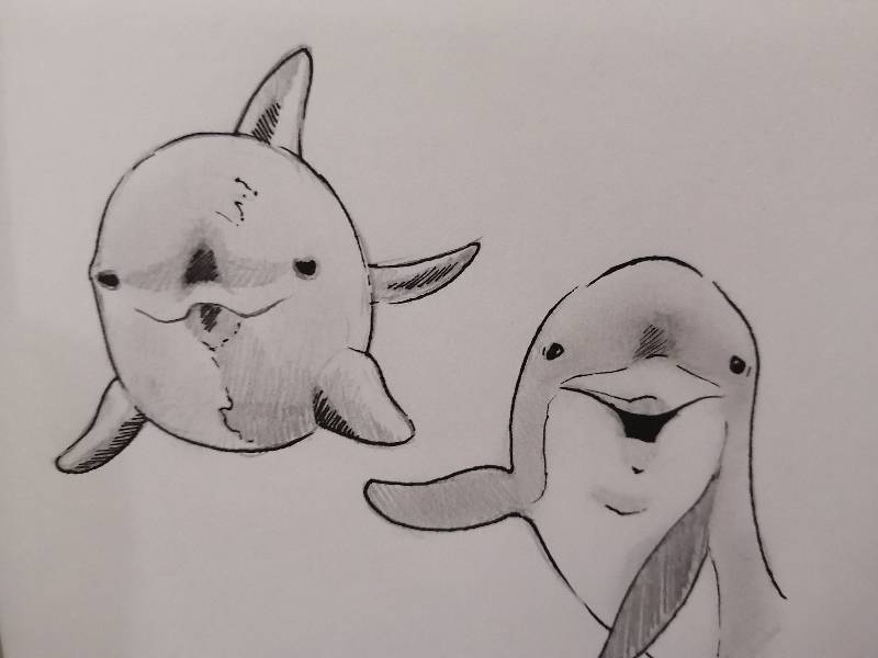 dolphin by NatGarcia (Ink, Pencil)