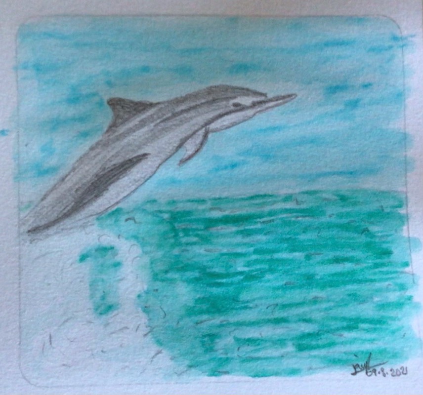 dolphin by jaiylee (Pencil, Markers)