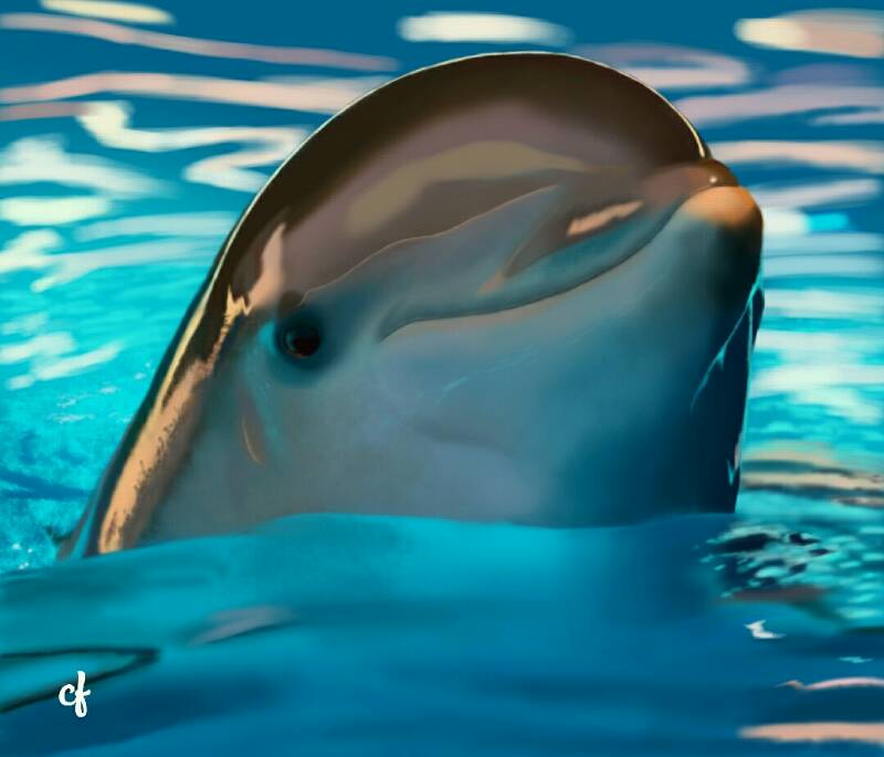 dolphin by desirella (Digital)