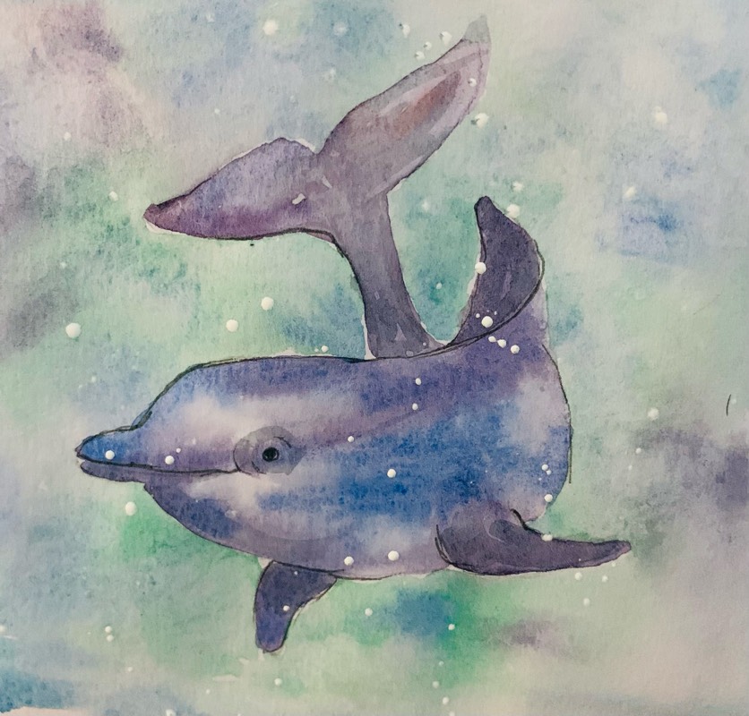 dolphin by fairlawnbj (Watercolor)