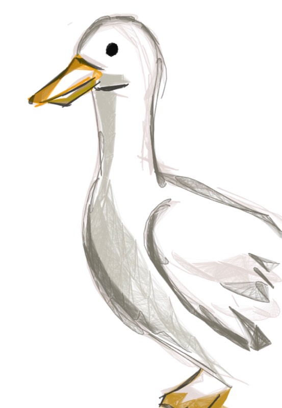 goose by TomHicks (Pencil, Colored pencil, Digital)