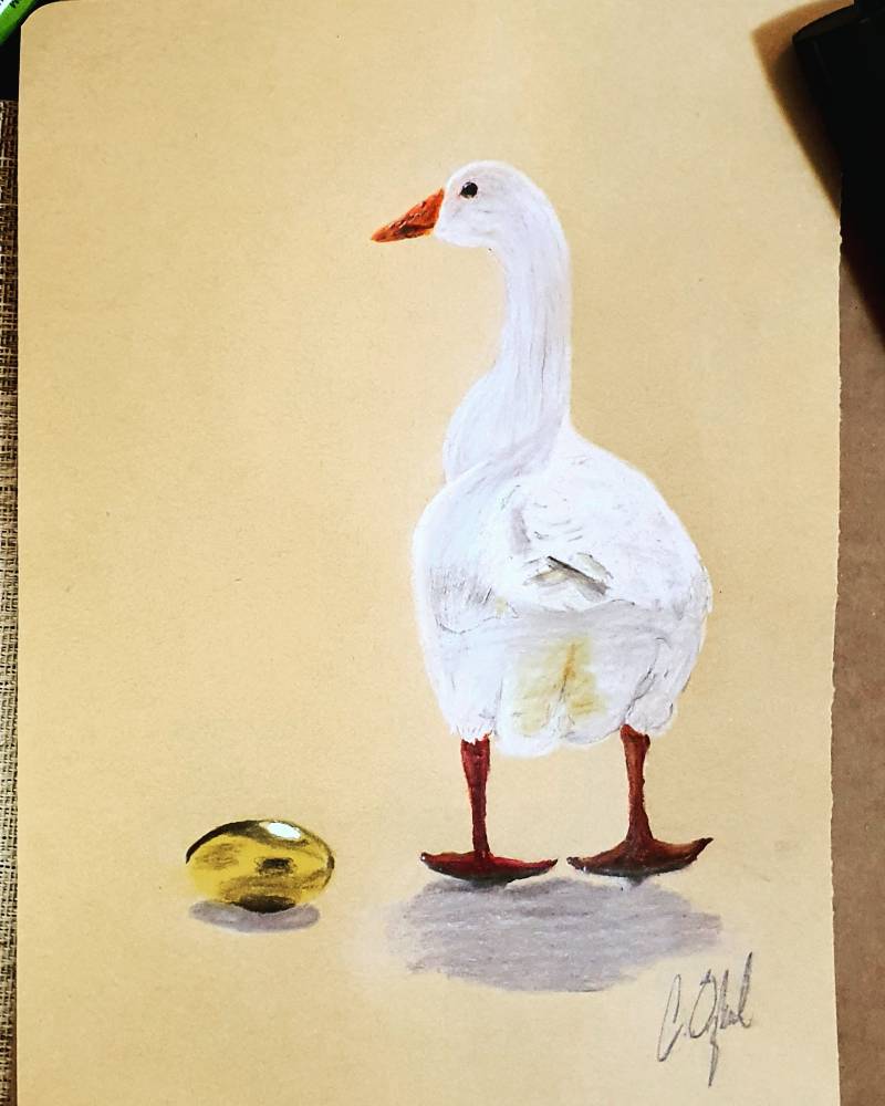 goose by Caner (Colored pencil, Acrylic paint, Pencil)