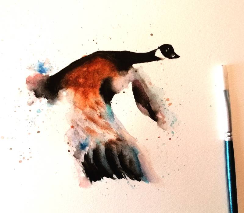 goose by Watercolor_Puppy_ (Watercolor)