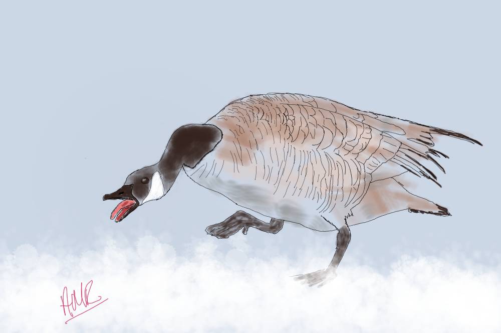 goose by Malcapone (Pen, Watercolor, Oil pastel)