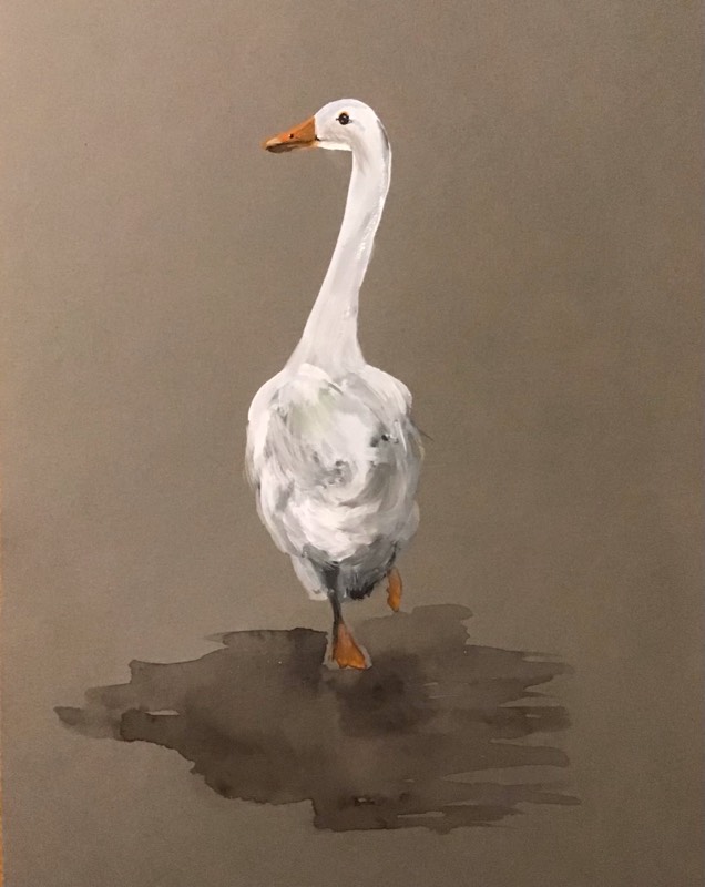 goose by Sally (Watercolor)