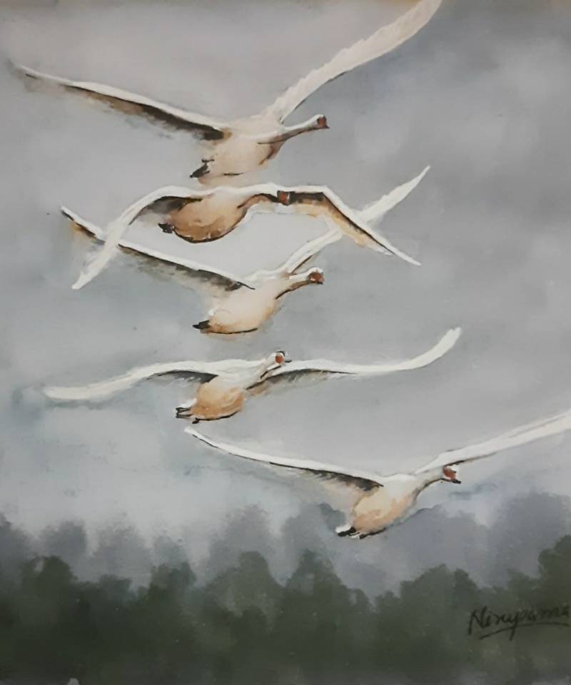 goose by Niru (Watercolor, Pen)