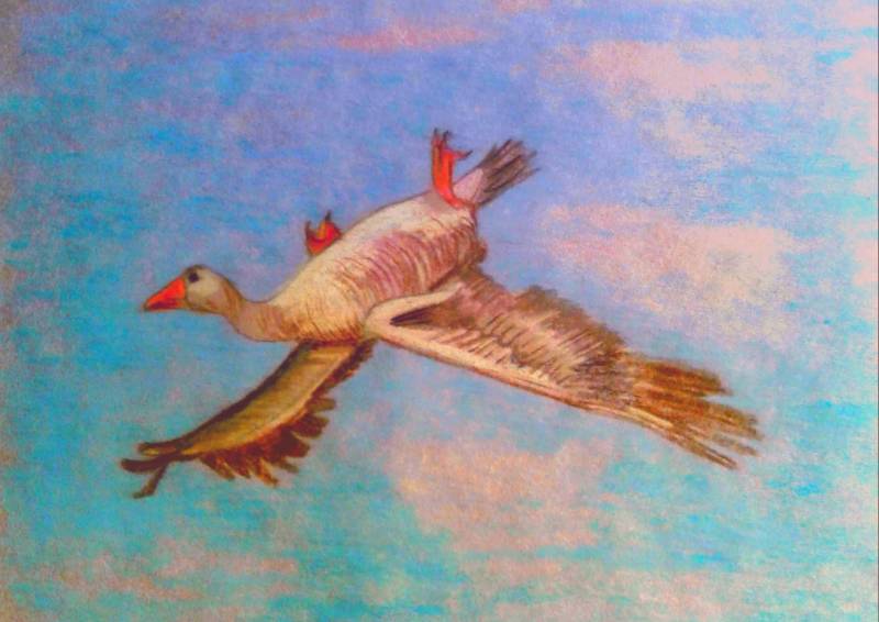 goose by MBear (Colored pencil, Charcoal, Oil pastel)