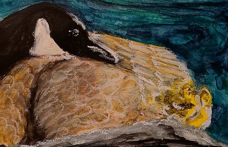 goose by interior_painter_me (Watercolor, Oil pastel)
