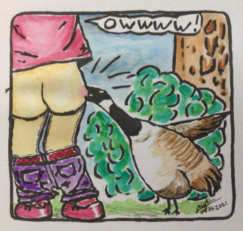 goose by jaiylee (Watercolor, Ink)