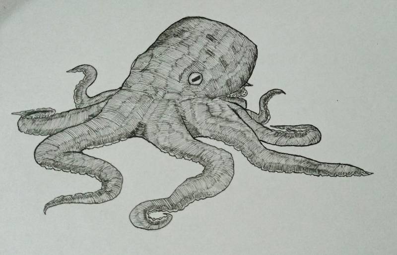 octopus by eru (Pen)