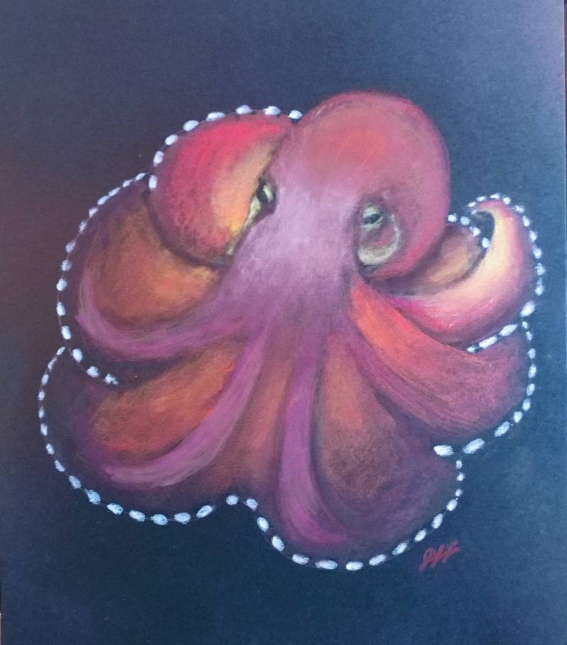 octopus by anymuttwilldo (Soft pastel, Colored pencil)