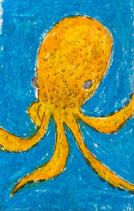octopus by rhonakesson (Oil pastel)