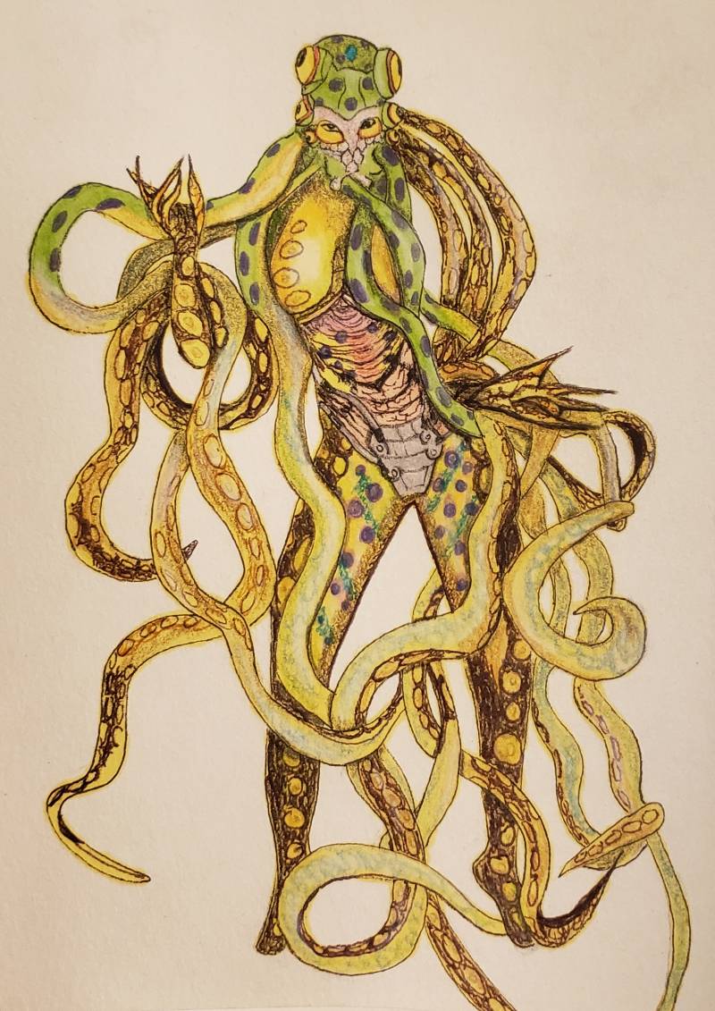 octopus by jkt (Pen, Markers, Colored pencil)
