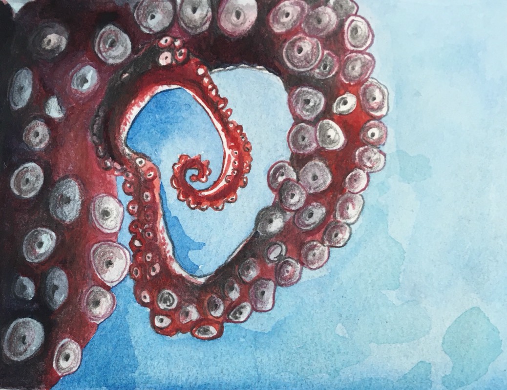 octopus by Breelily (Watercolor, Colored pencil)