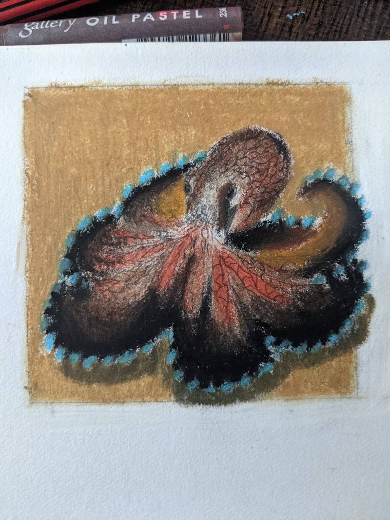octopus by arun7t (Pencil, Oil pastel)