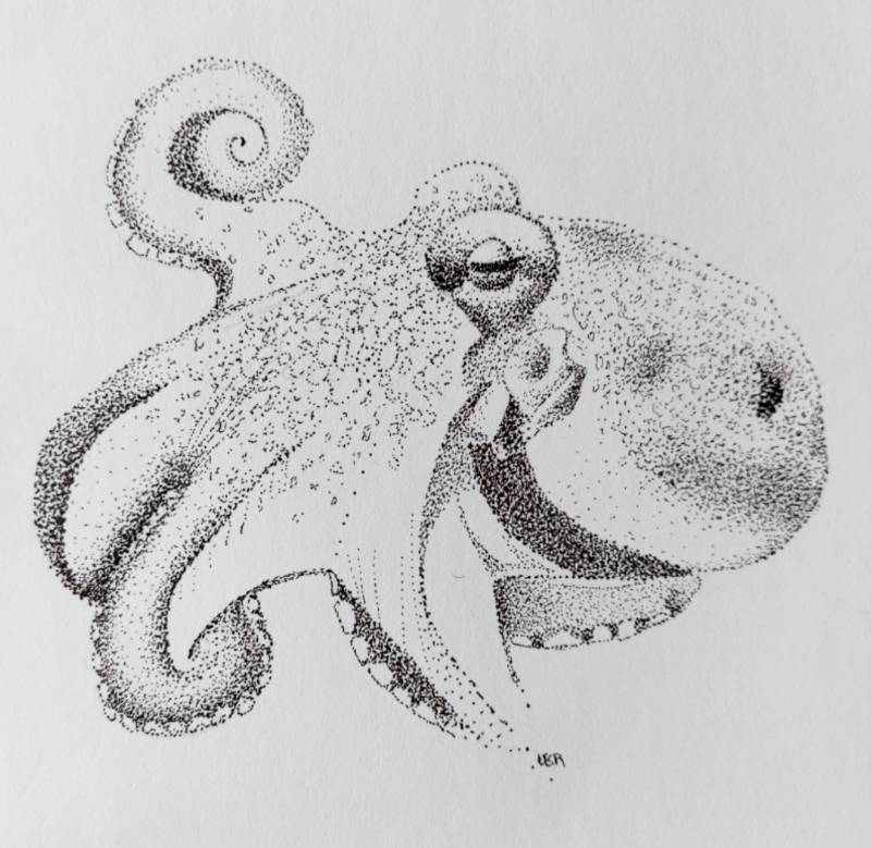 octopus by Dot9000 (Ink, Pen)