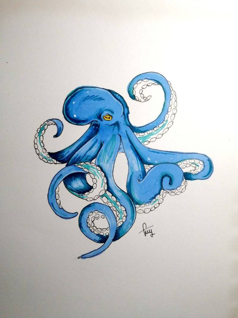 octopus by Tonnyho (Pencil, Pen, Markers)