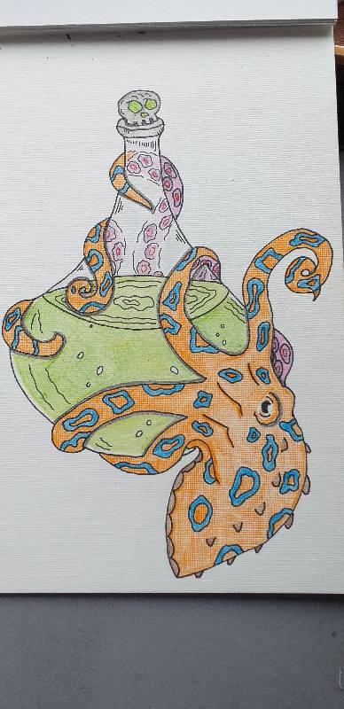 octopus by andpie321 (Pencil, Colored pencil, Pen)