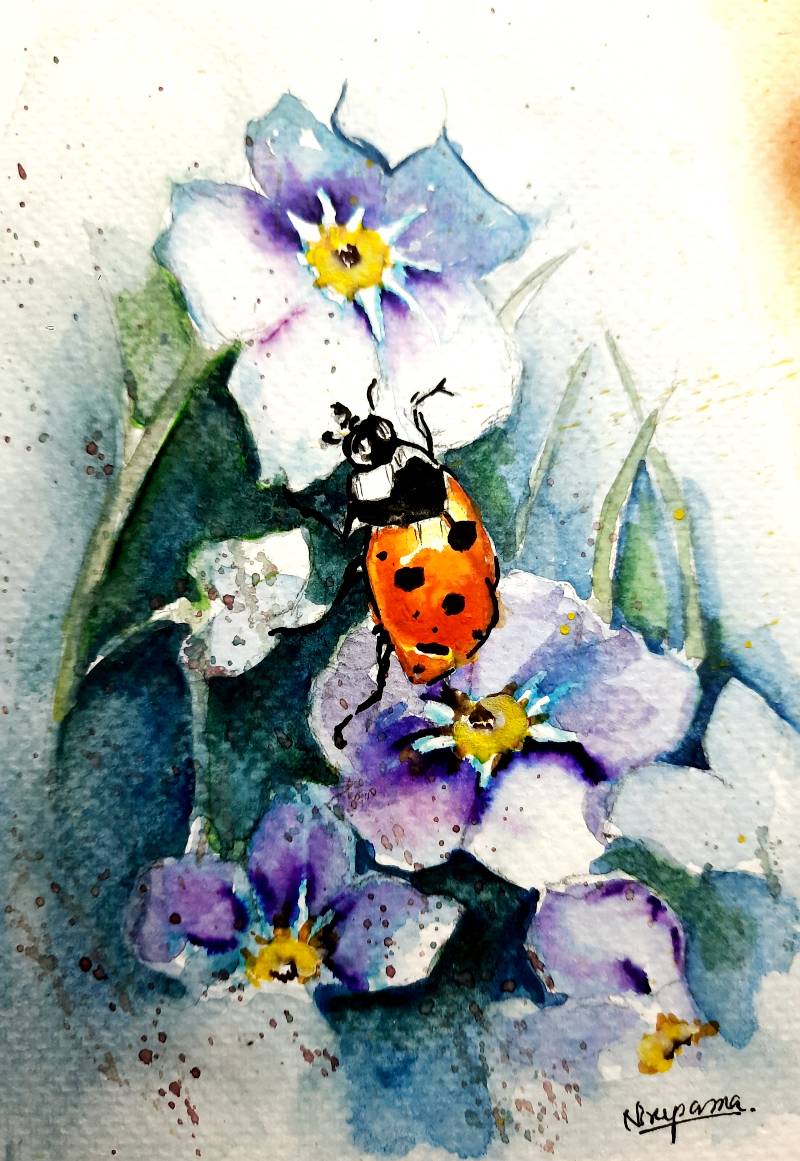 ladybird by Niru (Watercolor)