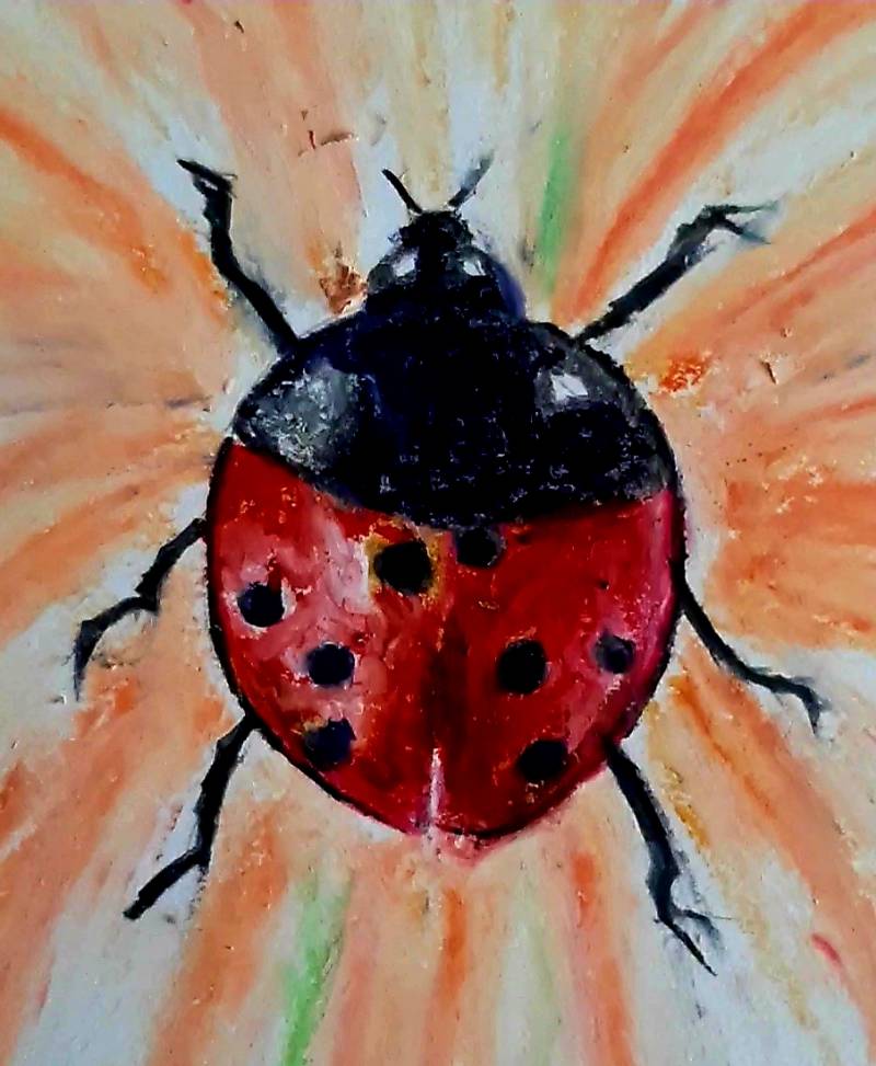 ladybird by chryssa_art (Pencil, Colored pencil, Oil pastel, Other)