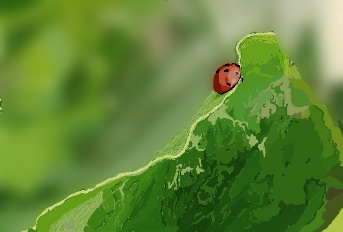 ladybird by KDW (Digital)