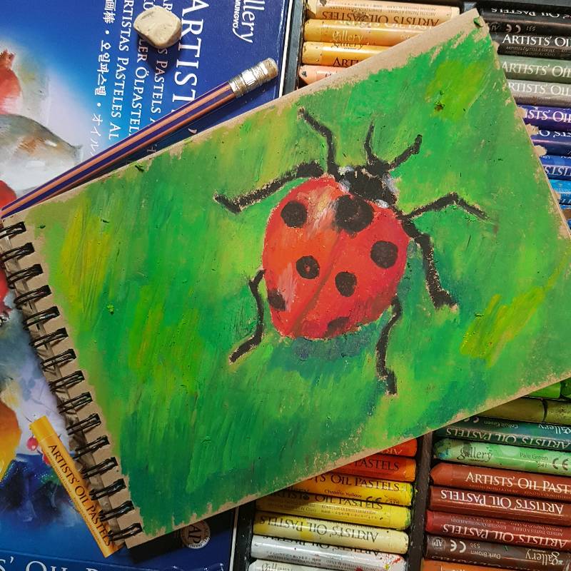 ladybird by yoyogiki (Oil pastel)