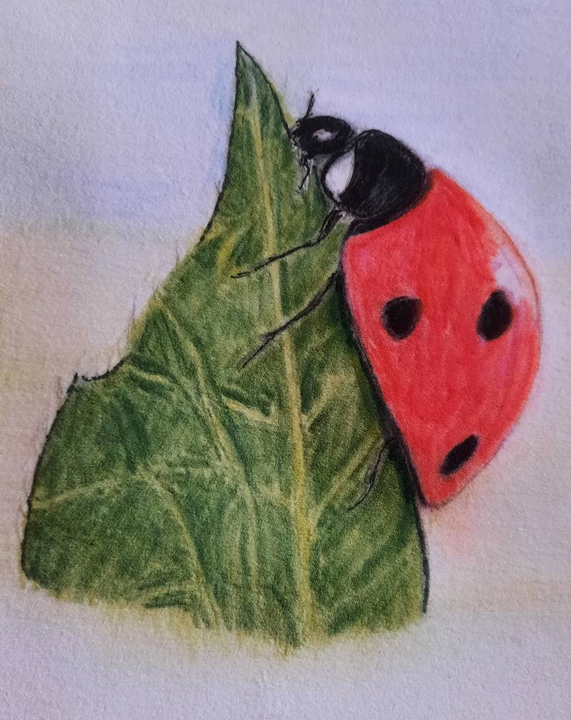 ladybird by Art187 (Soft pastel)