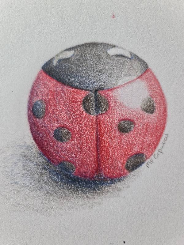 ladybird by MFOrpwood (Colored pencil)