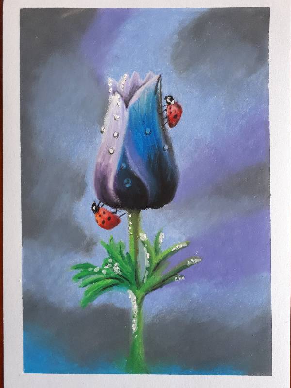 ladybird by Girasole24 (Pencil, Colored pencil, Oil pastel, Other)