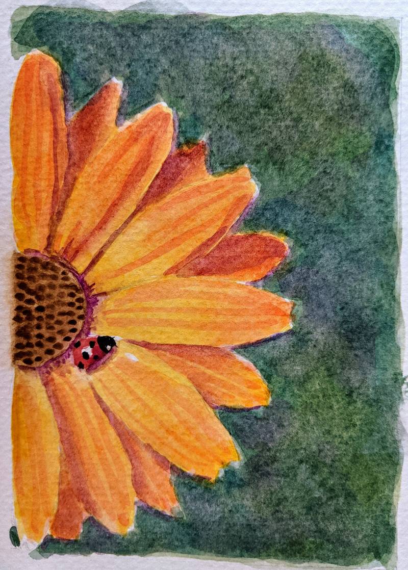 ladybird by Babyknows (Watercolor, Pen)