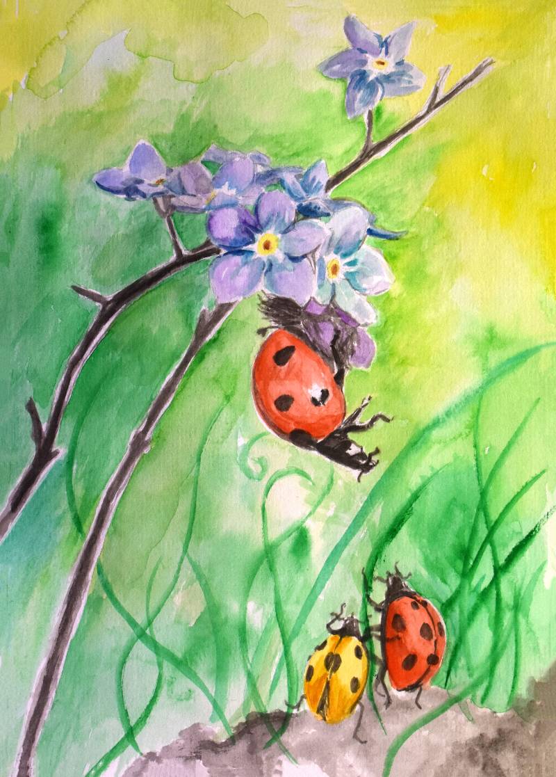 ladybird by Pikanotte (Watercolor)