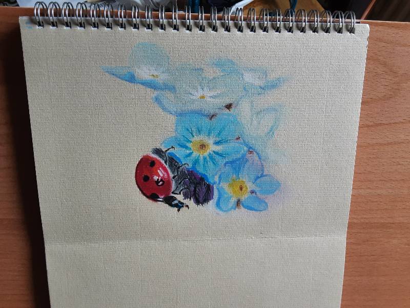 ladybird by lianne (Soft pastel)