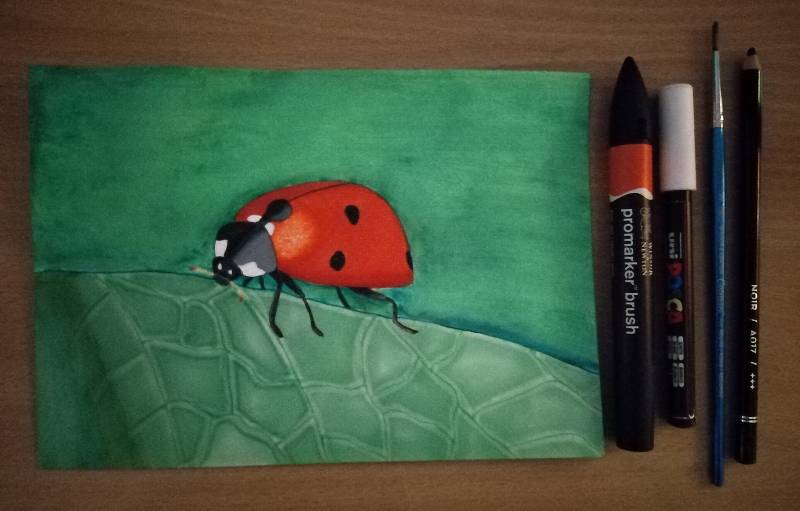 ladybird by L3phemere (Pencil, Watercolor, Pen, Markers, Colored pencil, Acrylic paint, Soft pastel)