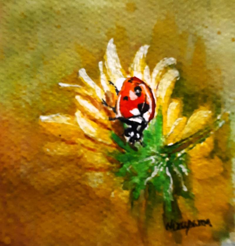 ladybird by Niru (Watercolor)