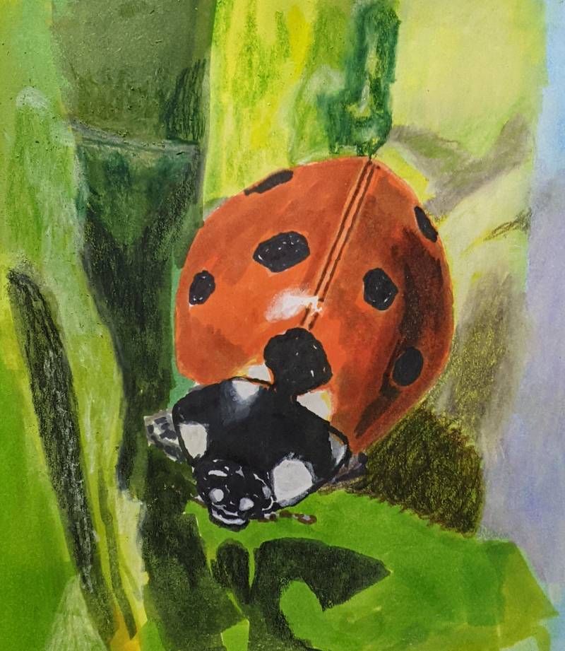 ladybird by jimcf (Markers, Colored pencil)