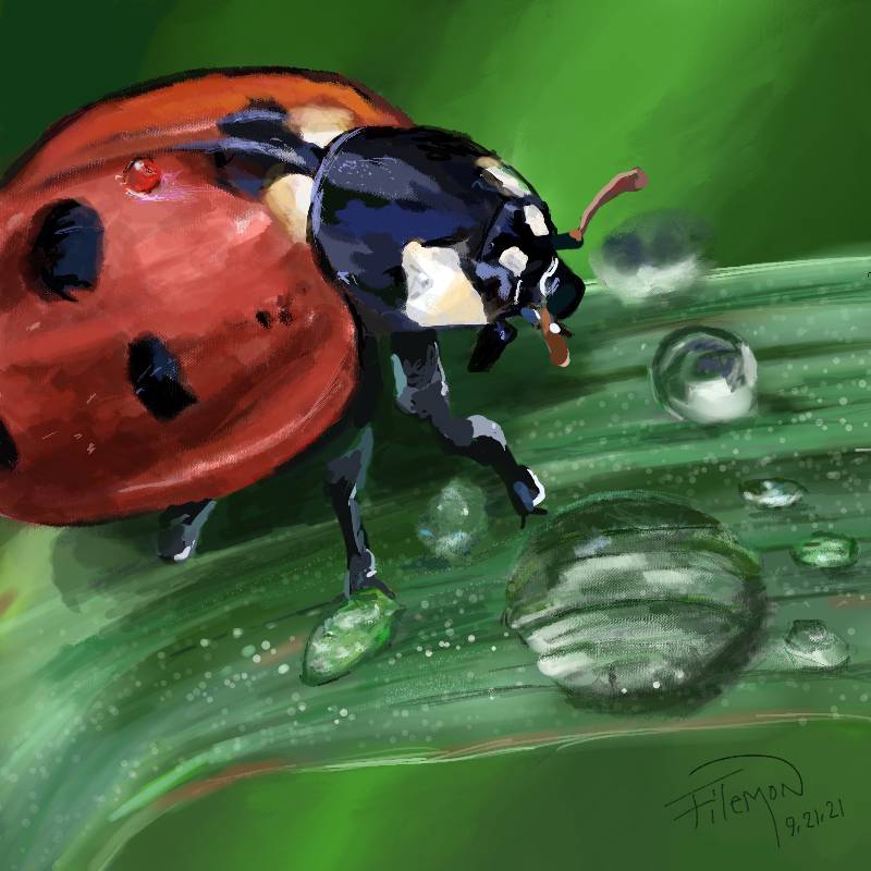 ladybird by Filemon (Digital)