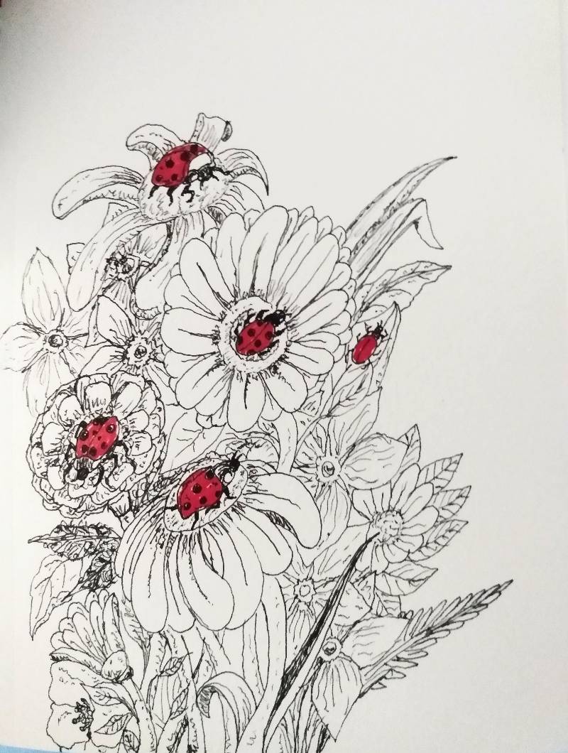 ladybird by Bigblue1174 (Pen, Markers)