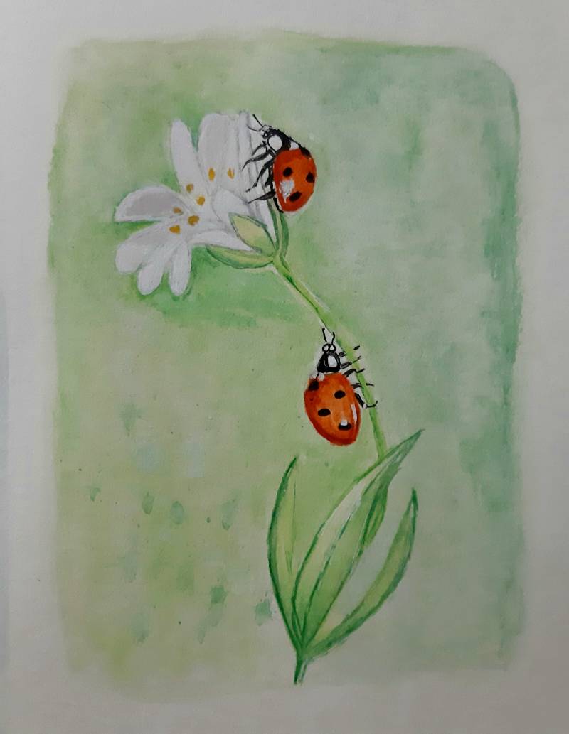 ladybird by sumelin (Watercolor, Ink)