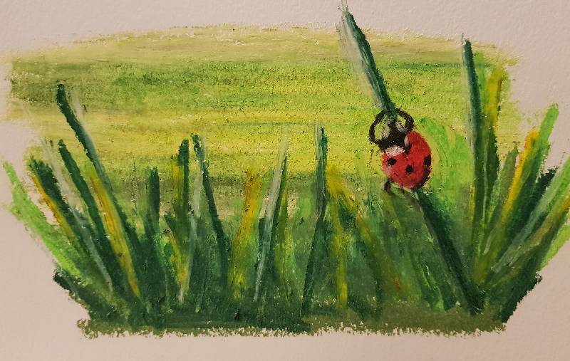 ladybird by poppygatapetal (Oil pastel)
