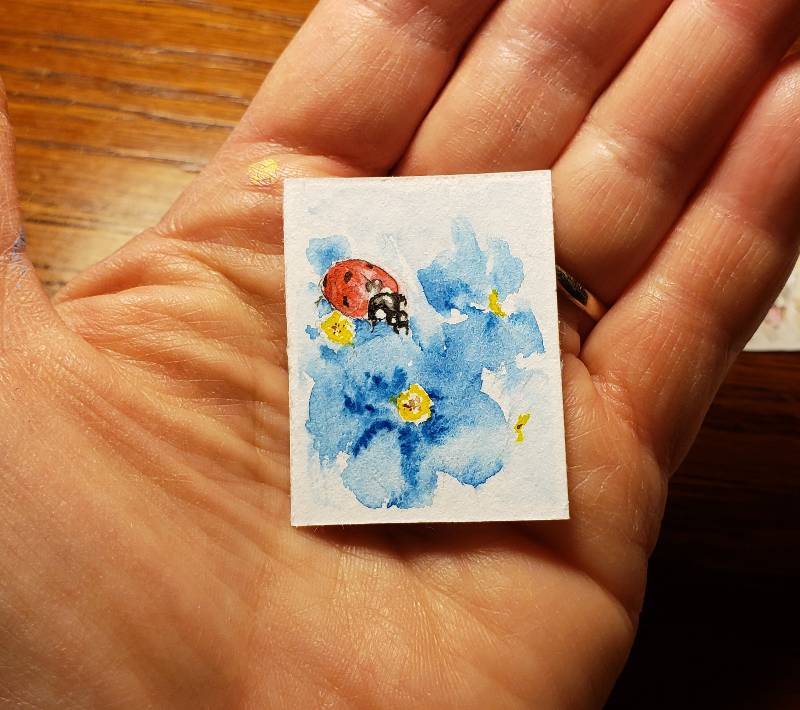 ladybird by sp3c14Lk (Watercolor, Ink)