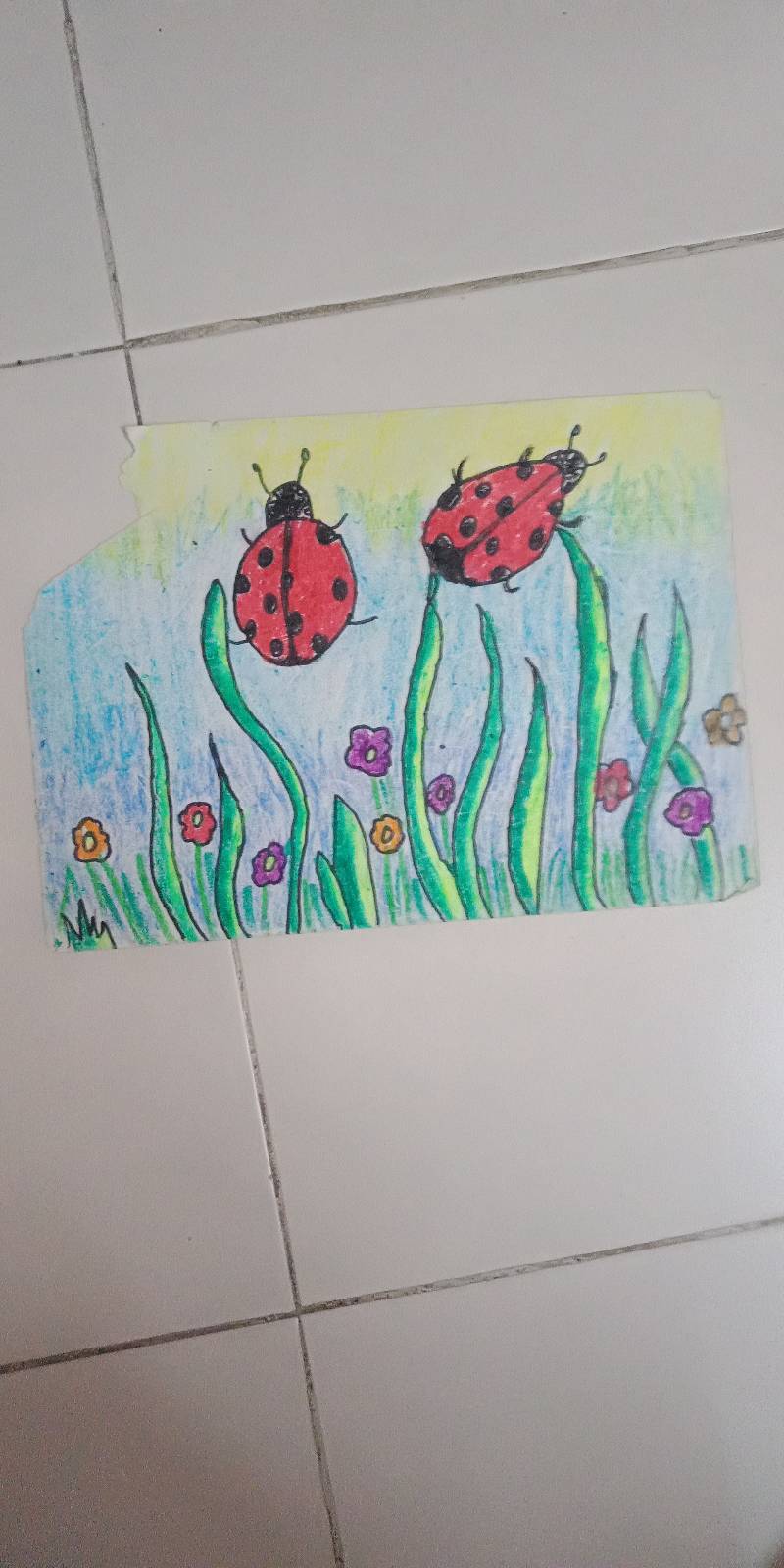 ladybird by anirudh_atharva28 (Pencil, Markers, Oil pastel)