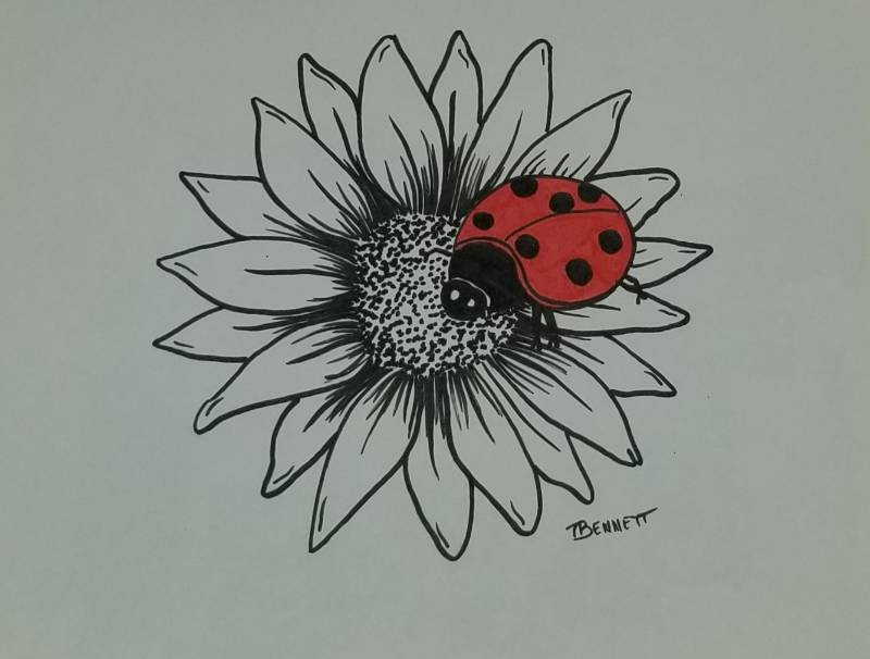 ladybird by DarquePixieDesigns (Ink, Markers, Pen)