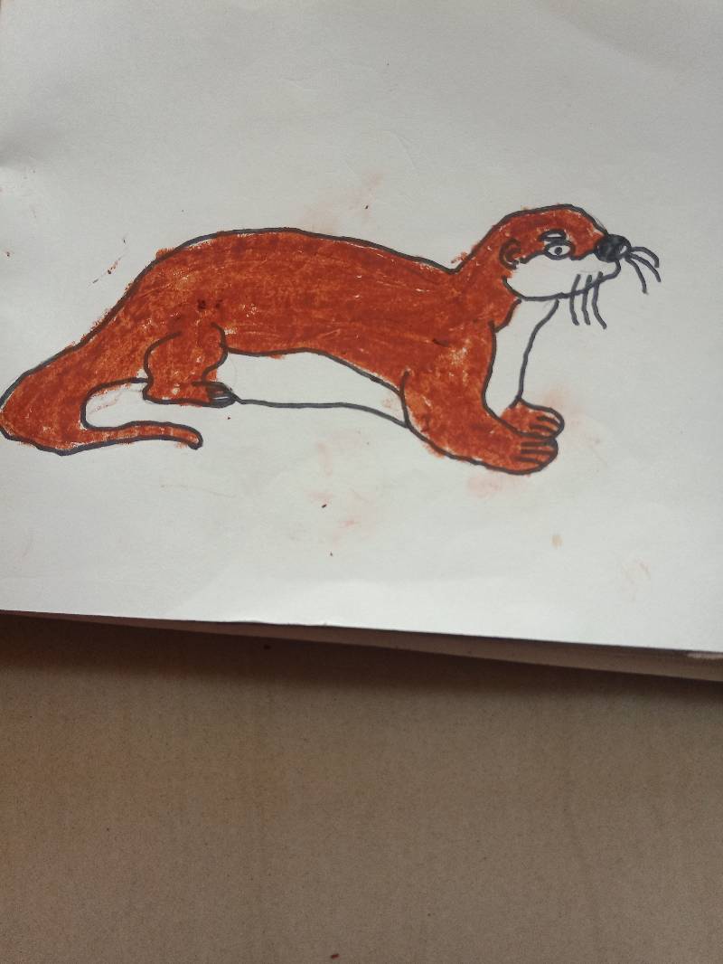 otter by anirudh_atharva28 (Pencil, Oil pastel, Markers)