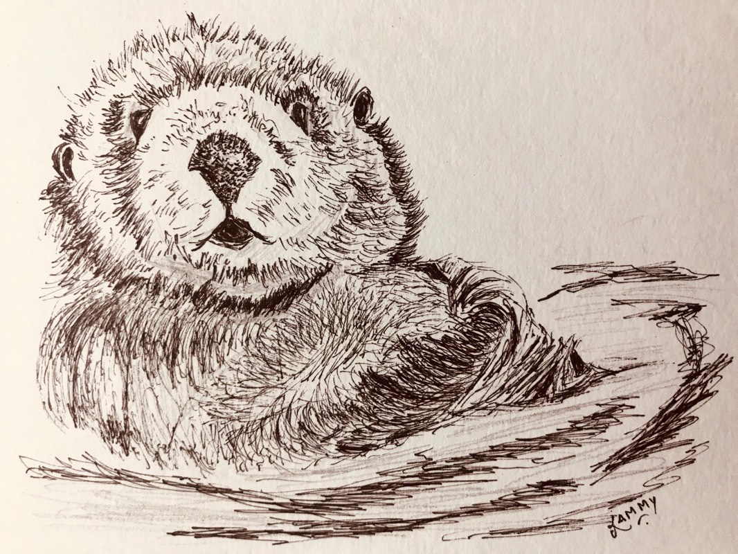 otter by RammyArtworks (Pen, Ink)